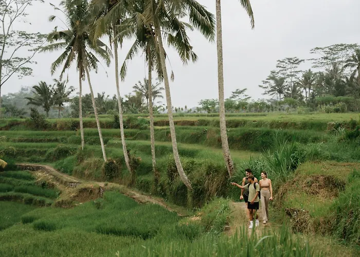 Bambootel Sawah View